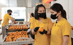 Chuyển đổi xanh: Không nhất thiết phải đầu tư công nghệ hiện đại ngay từ đầu