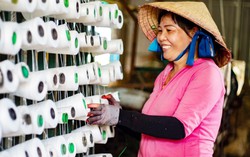 Không miễn toàn bộ trách nhiệm bảo vệ dữ liệu cá nhân cho doanh nghiệp siêu nhỏ do phụ nữ làm chủ