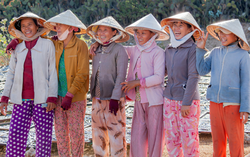 13 triệu phụ nữ Việt Nam và những nguy cơ sức khỏe phía sau tuổi mãn kinh