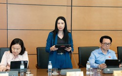 Đại biểu Quốc hội Trần Lan Phương: Cần hỗ trợ doanh nghiệp nhỏ và vừa phát triển thực chất