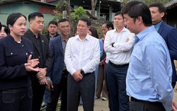Từ lá chè ép trong trang vở, người phụ nữ rời phố về quê "đánh thức" giá trị chè cổ thụ