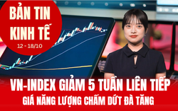 Bản tin Kinh tế tuần: VN-Index giảm 5 tuần liên tiếp, giá xăng chấm dứt đà tăng