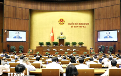 Kỳ họp thứ 2: Đề xuất nhiều quy định mới về hành nghề luật sư và nuôi con nuôi