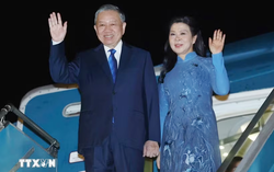 Tổng Bí thư, Chủ tịch nước Tô Lâm cùng Phu nhân lên đường thăm Đan Mạch, Liên minh châu Âu và Bỉ