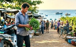 Một lần ra chợ mua rau