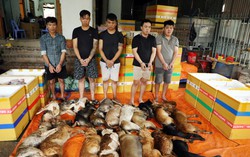 Nhóm “cẩu tặc” một đêm trộm 21 con chó, lộ đường dây tiêu thụ liên tỉnh