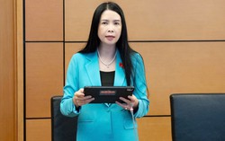 Đề nghị làm rõ thẩm quyền, giảm thủ tục ký kết thỏa thuận quốc tế