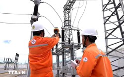 Quốc hội làm việc, thảo luận về Luật điện lực, Luật báo chí và nhiều dự án luật khác