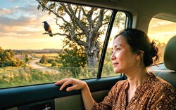 "Đi bước nữa"