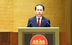 Luật Đất đai sửa đổi siết xử lý dự án chậm sử dụng đất