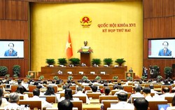 Luật Nhà ở sửa đổi thêm chương về nhà cho thuê, cắt 3/4 điều kiện kinh doanh
