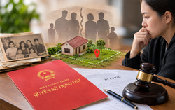 Nhờ cha đứng tên sổ đỏ, con gái vướng tố tụng vì di sản thừa kế