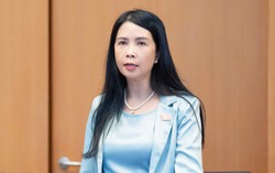 Đề nghị bảo đảm kinh phí bình đẳng giới từ ngân sách trung ương và địa phương