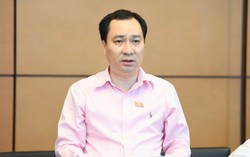 Đại biểu Quốc hội lo thủ tục sở hữu trí tuệ kéo dài, tăng chi phí doanh nghiệp
