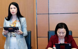 Đề nghị làm rõ thẩm quyền nới điều kiện tiếp cận thị trường