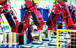 Quy định 224: Khơi thông nguồn lực đội ngũ đảng viên về phát triển kinh tế