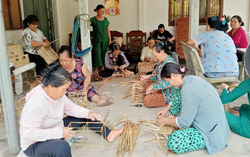 Vĩnh Long: Tạo sinh kế bền vững cho phụ nữ từ cây lục bình
