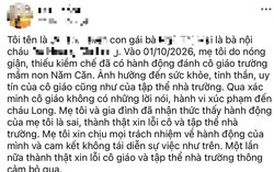 Cà Mau: Đến lớp đánh cô giáo mầm non, người phụ nữ bị phạt 11,25 triệu đồng