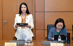 Đại biểu Quốc hội góp ý hoàn thiện tiêu chí bảo vệ công trình an ninh quốc gia