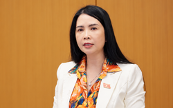 Dự án Luật Xử lý vi phạm hành chính (sửa đổi): Cần làm rõ căn cứ kéo dài thời hiệu xử phạt
