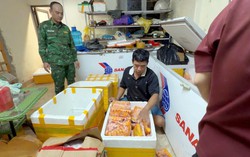 Triệt phá thành công đường dây tuồn hàng tấn thực phẩm bẩn mỗi ngày qua cửa khẩu