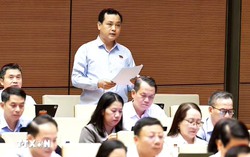 Hoàn thiện quy định về tố tụng điện tử, bảo vệ quyền con người, quyền công dân