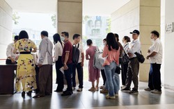 Cú lừa Mr Pips và những nạn nhân mang nỗi đau vượt xa tiền bạc