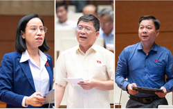 Đại biểu Quốc hội đề nghị ràng buộc trách nhiệm ổn định cuộc sống của người dân sau thu hồi đất