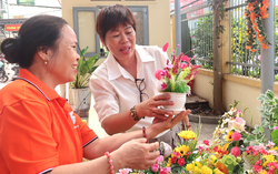 "Tháng cùng phụ nữ hành động" ở TPHCM: Tiếp sức phụ nữ khởi nghiệp, phát triển kinh tế