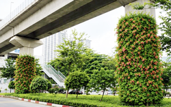 Hà Nội thí điểm phủ xanh trụ cầu, hầm chui