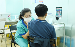 Sốt xuất huyết gia tăng tại Phú Quốc: Người dân cần chủ động phòng bệnh trước nguy cơ lan rộng
