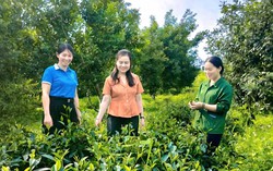 Kết nối nguồn vốn mở đường cho phụ nữ khởi nghiệp