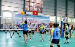 Ninh Bình: Giao lưu bóng chuyền hơi nữ cấp tỉnh năm 2026