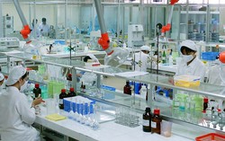 Phê duyệt Chương trình phát triển công nghiệp hóa dược Việt Nam đến năm 2045