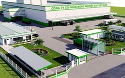 BaF Việt Nam: Chuỗi khép kín, biên an toàn mỏng và phép thử dòng tiền