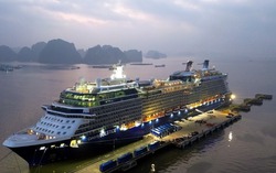 Quảng Ninh sẽ đón hàng ngàn khách du lịch tàu biển quốc tế dịp Tết Bính Ngọ