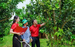 Agribank triển khai chính sách phát triển nông nghiệp, nông thôn, tích cực hỗ trợ khách hàng phát triển kinh tế