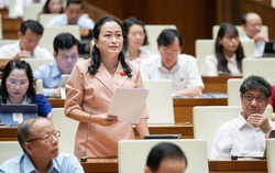 Dấu ấn nữ đại biểu Quốc hội: Từ tâm huyết đến hành động