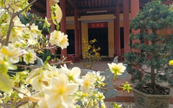 2 di tích quốc gia ở Khánh Hòa "khoác áo xuân" sau phản ánh của Báo Phụ nữ Việt Nam