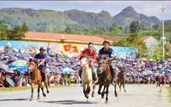 Vó ngựa trên mây Bắc Hà