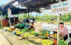 Độc đáo chợ quê cù lao dịp Tết
