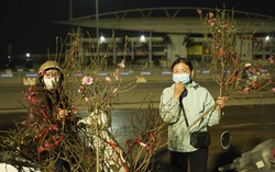 Hà Nội tối 29 Tết: Tiểu thương chấp nhận lỗ nặng, xả hàng về đón Giao thừa