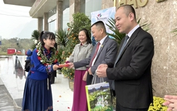 Cao Bằng đón đoàn khách quốc tế đầu tiên ngày đầu năm mới Bính Ngọ