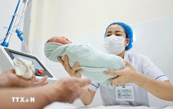 Hơn 8.300 trẻ sơ sinh chào đời tại các cơ sở y tế trong 4 ngày nghỉ Tết