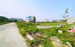 Phân cấp thẩm quyền cho Ủy ban Nhân dân cấp tỉnh thực hiện về lĩnh vực đất đai