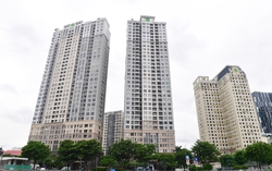 Hưởng lợi gần 300 tỷ đồng từ việc "sang tay" đất công, bà Nguyễn Thị Như Loan bị truy tố