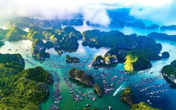 "Việt Nam hoang dã" qua ống kính truyền hình Bỉ: Thiên nhiên hồi sinh kỳ diệu