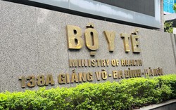 Xác minh, điều tra, xử lý vụ 13 người nghi ngộ độc thực phẩm do ăn trứng cá cảnh