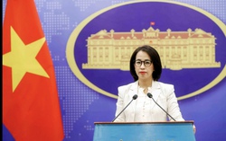 Việt Nam coi trọng hợp tác, trao đổi với OECD trong bảo đảm tính minh bạch, hiệu quả của hệ thống thuế