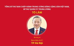Các đồng chí lãnh đạo cấp cao ứng cử đại biểu Quốc hội khóa XVI